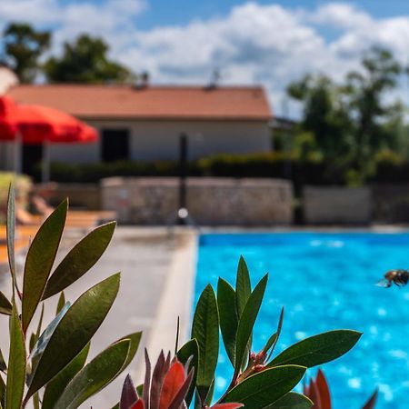 Agriturismo Il Tripesce Vada Luaran gambar