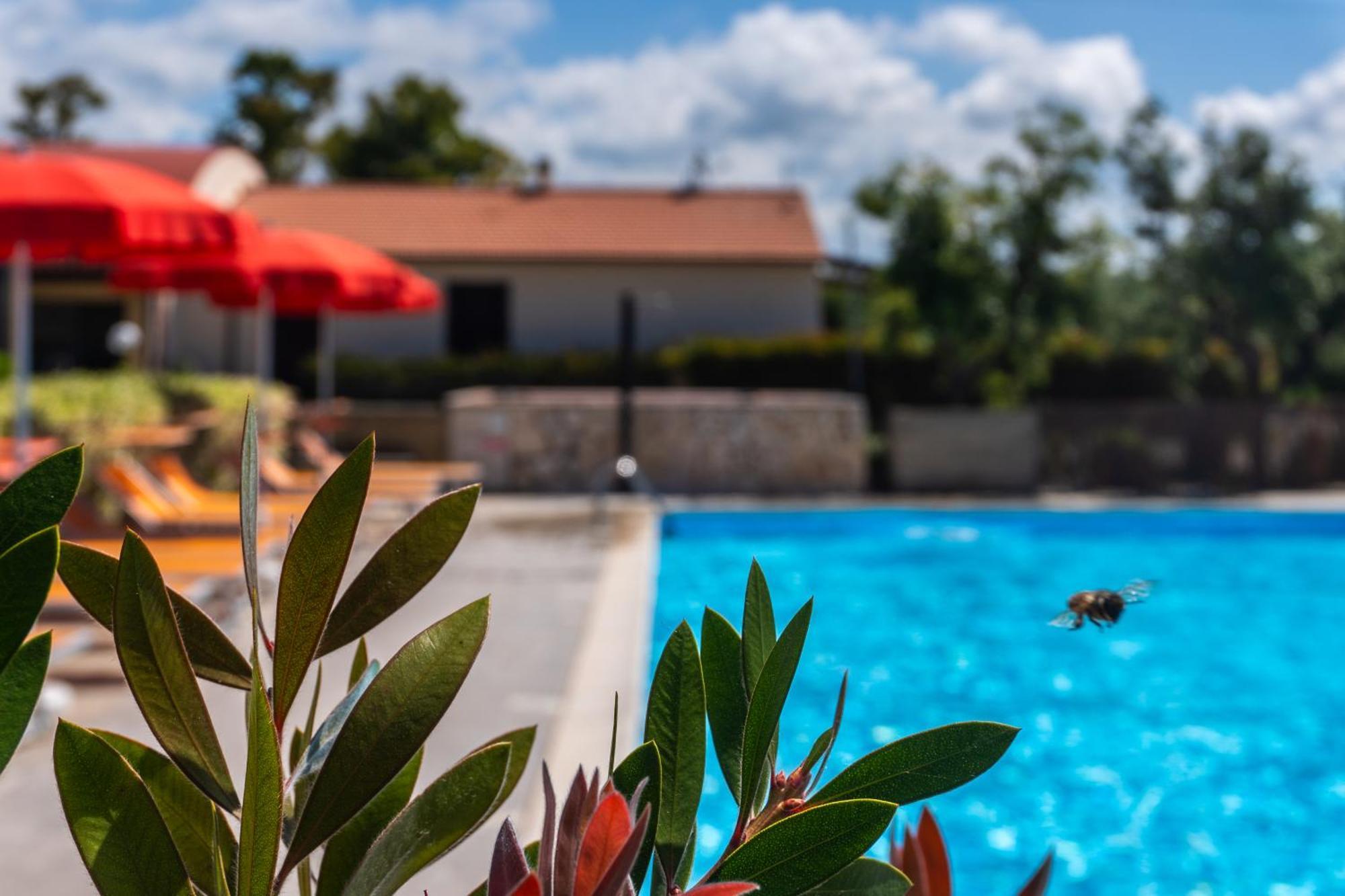 Agriturismo Il Tripesce Vada Luaran gambar