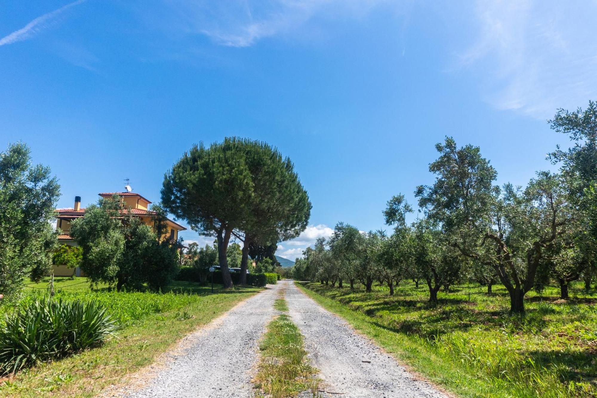 Agriturismo Il Tripesce Vada Luaran gambar