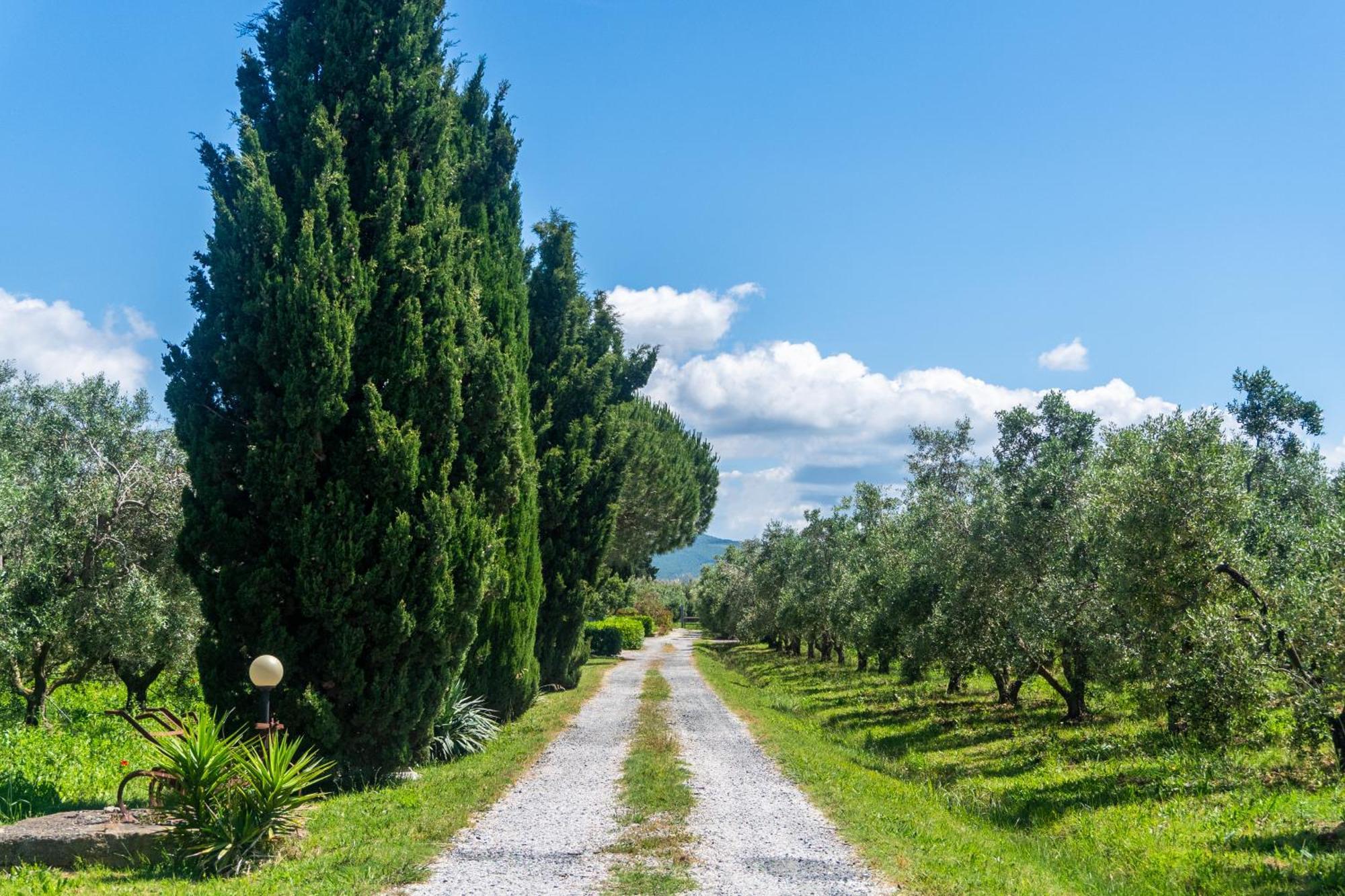 Agriturismo Il Tripesce Vada Luaran gambar