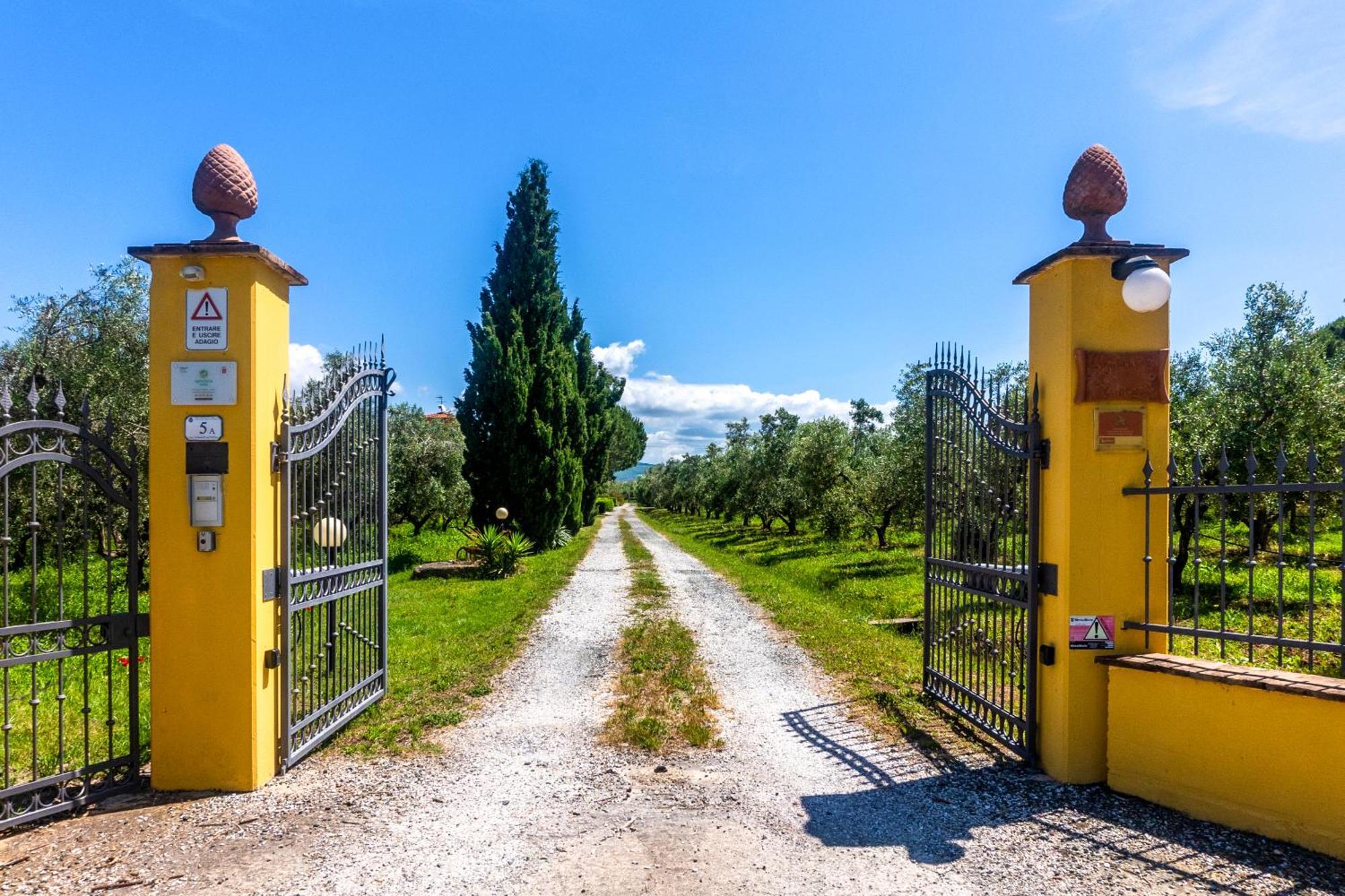 Agriturismo Il Tripesce Vada Luaran gambar