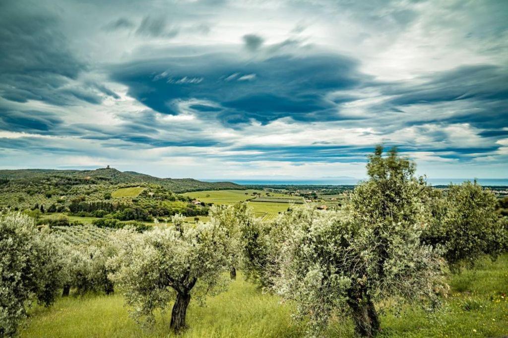 Agriturismo Il Tripesce Vada Luaran gambar