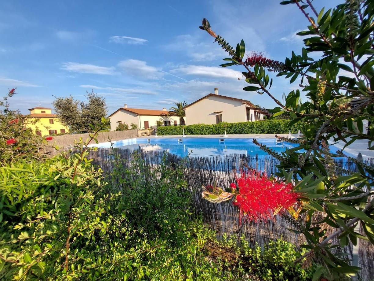 Agriturismo Il Tripesce Vada Luaran gambar