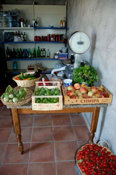Agriturismo Il Tripesce Vada Luaran gambar