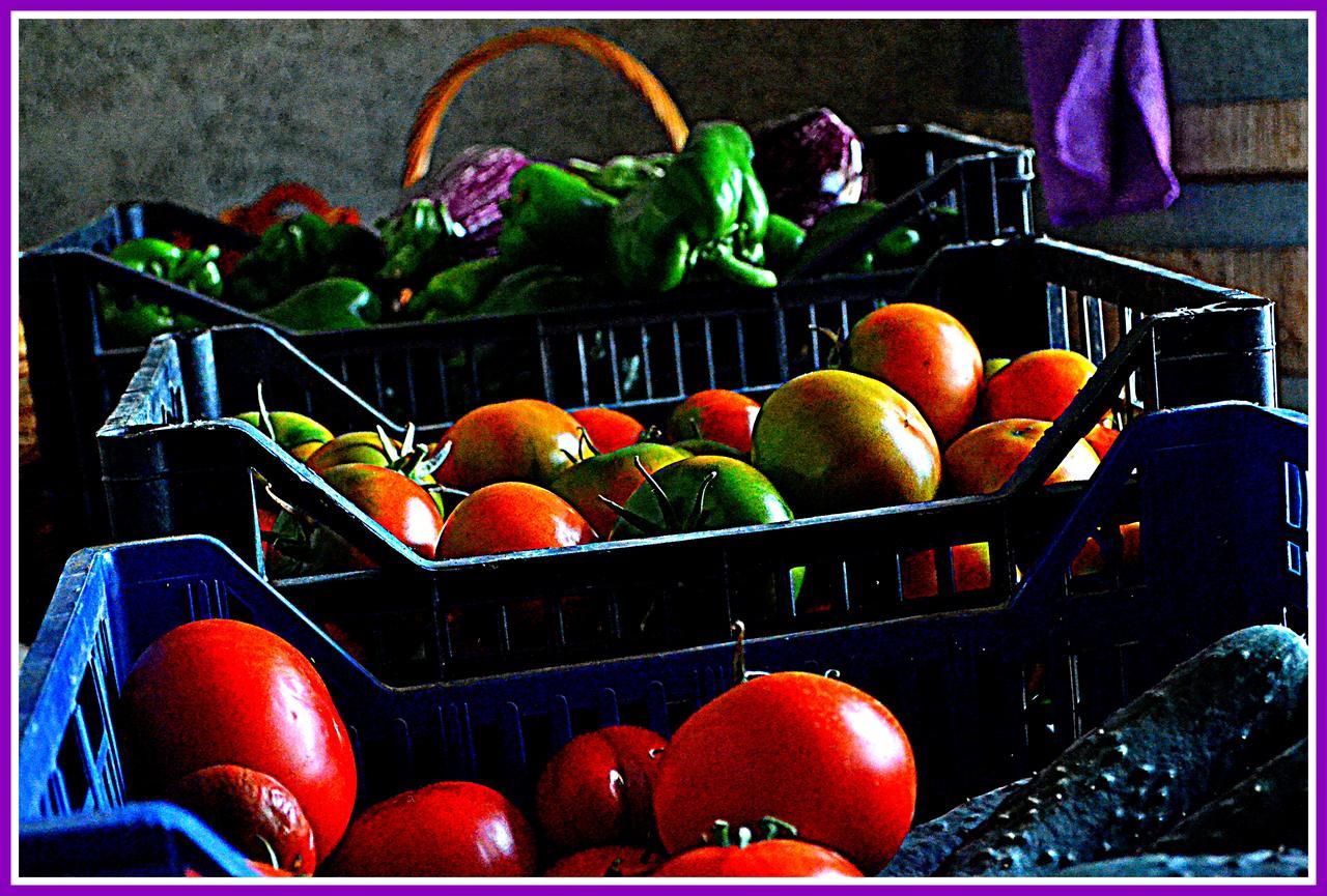 Agriturismo Il Tripesce Vada Luaran gambar