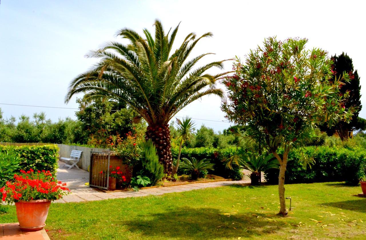 Agriturismo Il Tripesce Vada Luaran gambar